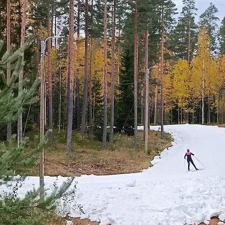 Διαμέρισμα Laatuhuoneisto Saimaa Naekymaellae- Luxury By Saimaa