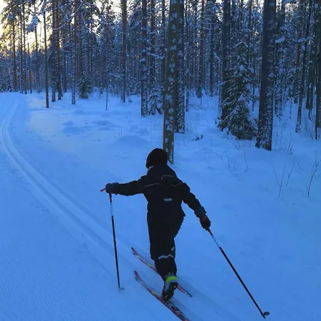 Laatuhuoneisto Saimaa Naekymaellae- Luxury By Saimaa Imatra